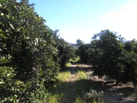 Finca rústica en Bítem