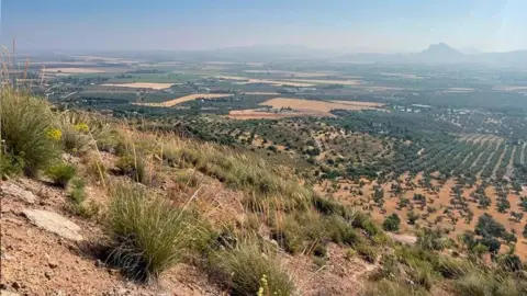 Terreno en Antequera