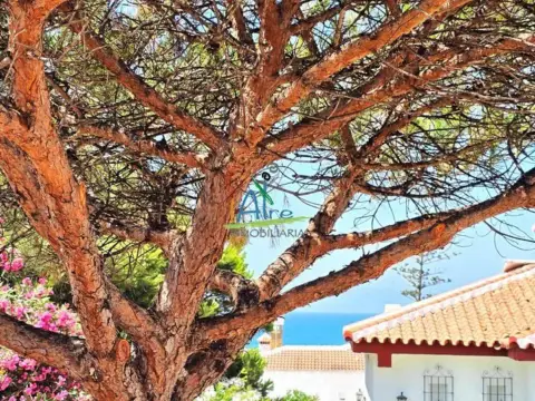 Chalet en Sector Dehesa de Las Marismillas