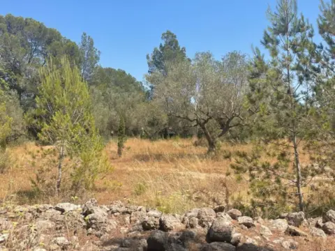Finca rústica en Aldover