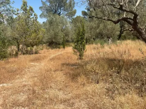 Finca rústica en Aldover