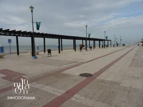Local comercial en Sector Cerceta