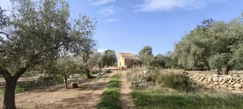 Finca rústica en Aldover