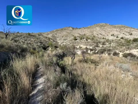 Terreno en Orcheta