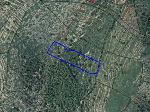 Finca rústica en calle Partida Coll, nº 14