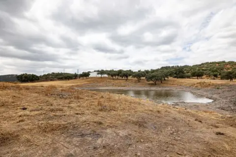 Finca rústica en Cañaveral de Leon