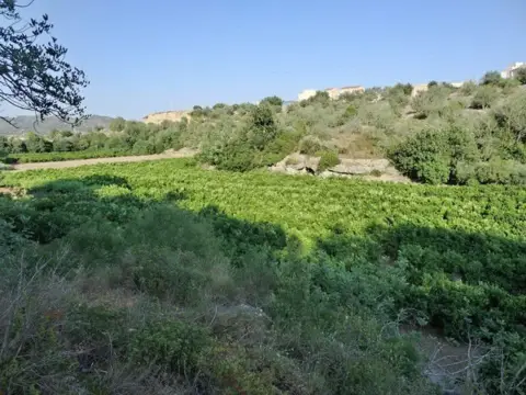 Finca rústica en calle Rue