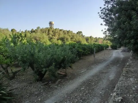 Finca rústica en calle Rue
