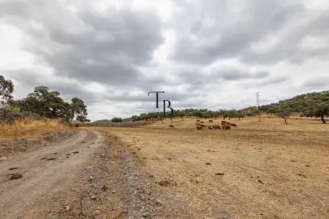 Finca rústica en Cañaveral de Leon