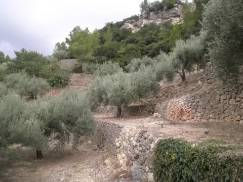 Finca rústica en calle Celio