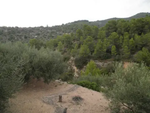 Finca rústica en calle Celio