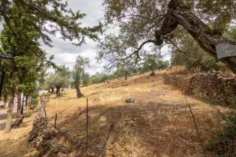 Finca rústica en Cañaveral de Leon