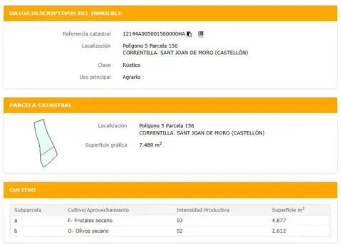 Finca rústica en Avinguda Correntilla