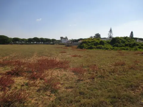 Finca rústica en El Chinarejo