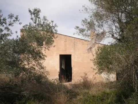 Finca rústica en calle Pla del Bif