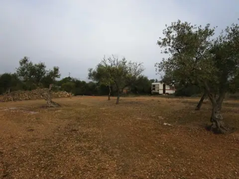 Finca rústica en calle Pla Sant Marti