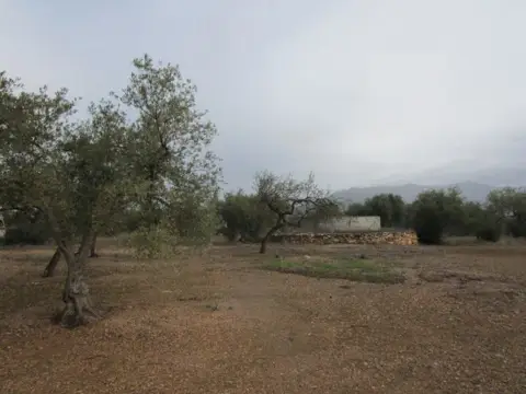 Finca rústica en calle Pla Sant Marti