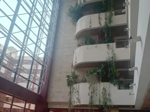 Garaje en calle Balbino Marrón