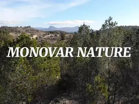 Terreno en Monòver - Monóvar