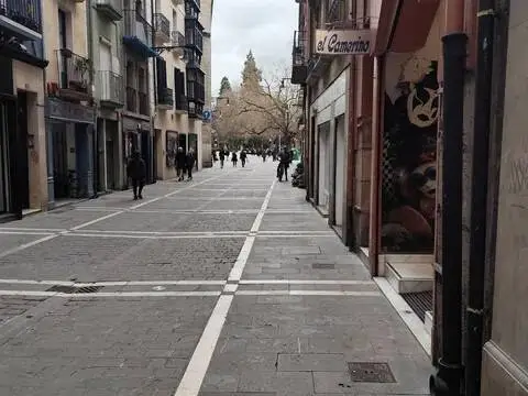 Local comercial en Nagusia Kale