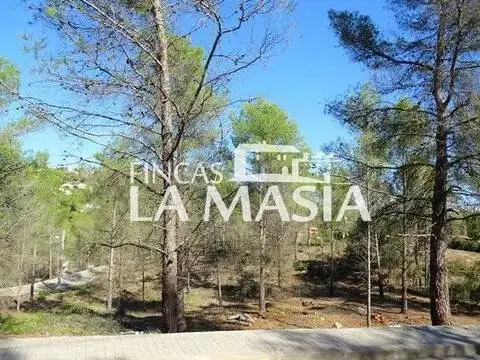 Terreno en Carrer de la Sajolida