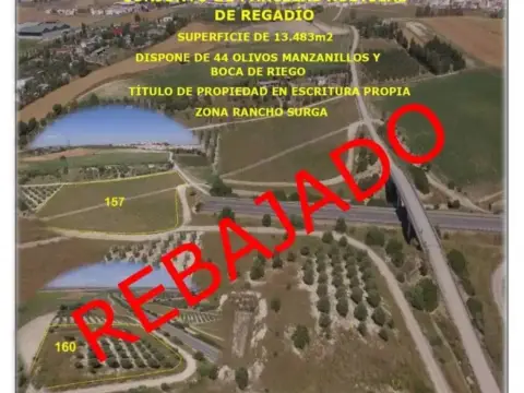Terreno en Las Cabezas de San Juan