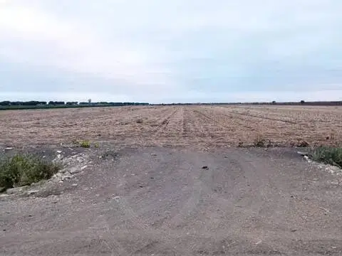 Terreno en Utrera