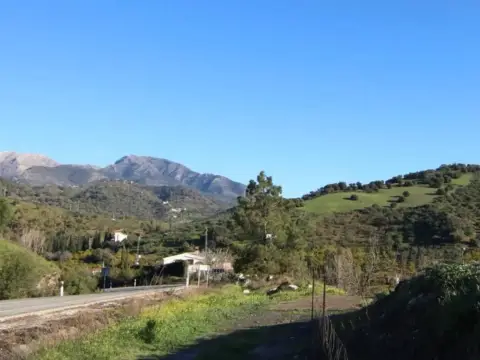 Terreno en calle Poligono 8 Parcela 217 Loma del Esparragal. Tolox,