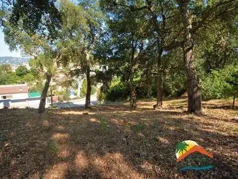 Terreno en Carrer del Llevant