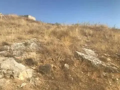 Terreno en El Molar