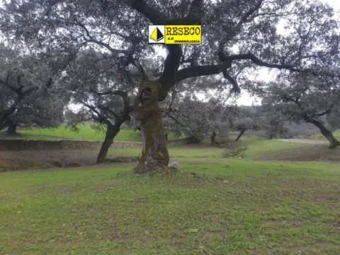 Terreno en Sevilla Capital