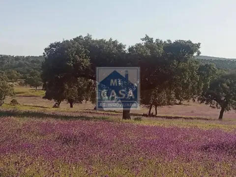 Casa rústica en Oliva de Mérida