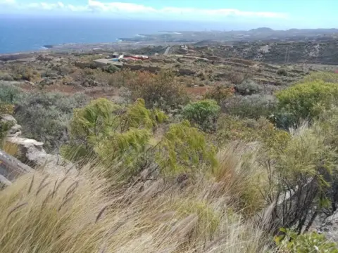 Terreno en calle de la Vista