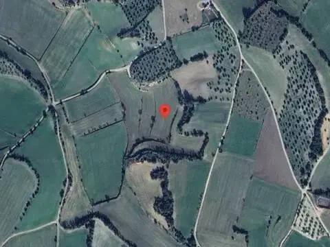 Terreno en calle Poligon 19, Parcel·La 182 No Number