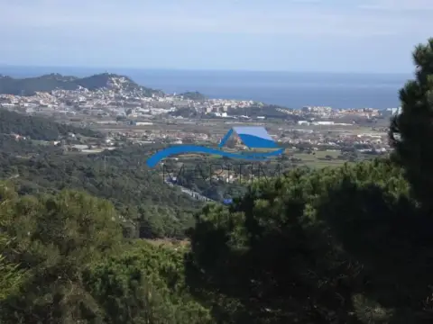 Terreno en Palafolls
