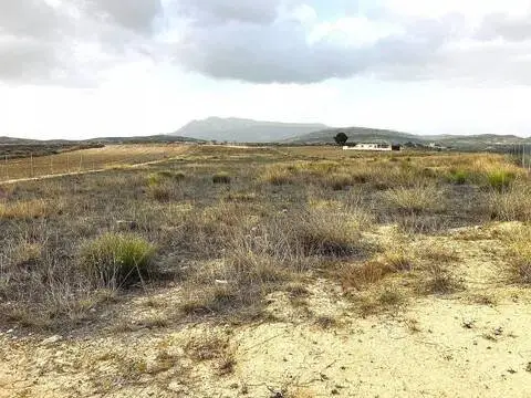 Terreno en Jumilla