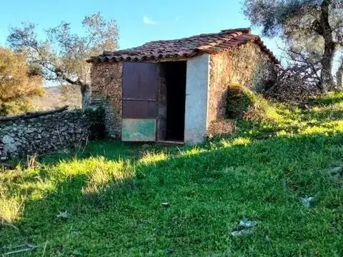 Piso
