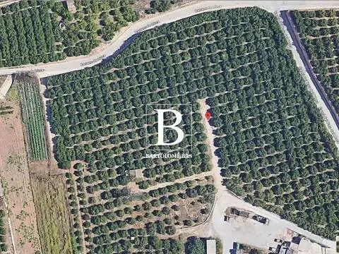 Terreno en calle Barranc de Lluca No Number