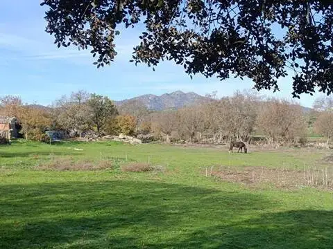 Terreno en Colmenar del Arroyo