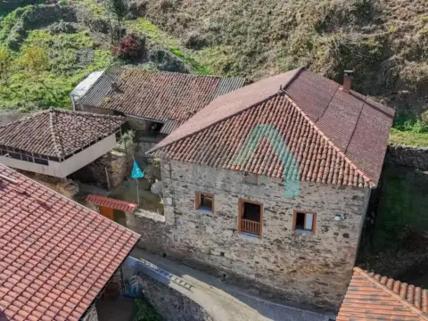 Chalet en Tineo
