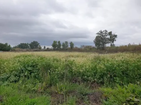 Terreno en Parque de la Constitución