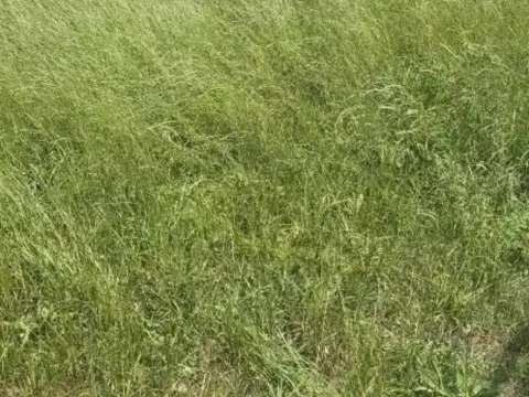 Terreno en Meruelo