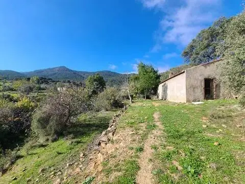 Terreno en Monesterio