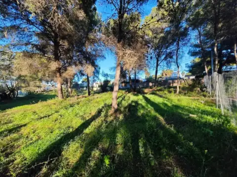 Terreno en calle Partida Cm Cap Marti, 483 — foto 1