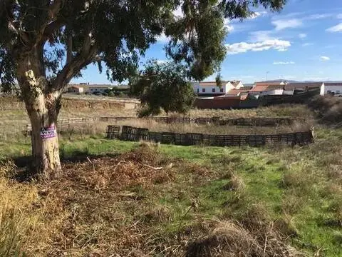 Terreno en Fuente de Cantos