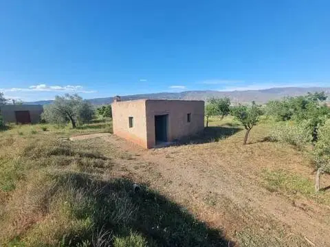 Terreno en calle Diseminado Abrucena, 31