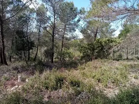 Terreno en Albalate de Zorita