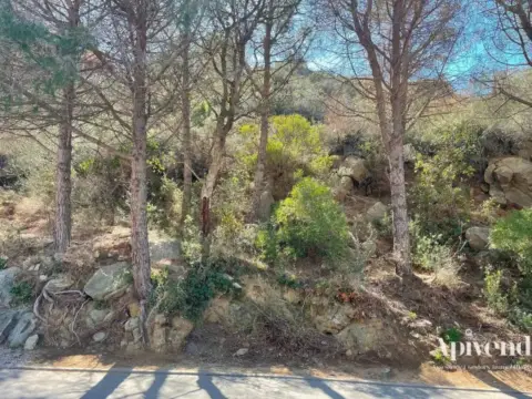 Terreno en Port Esportiu-Canyelles-Puig Rom