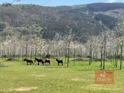 Terreno en Labarces