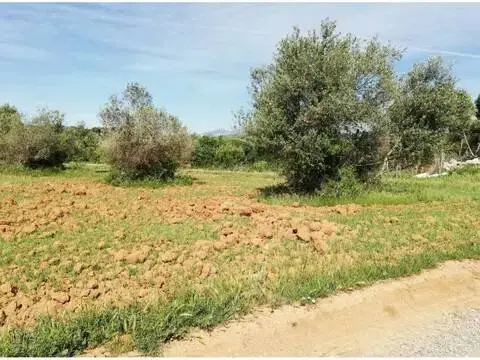 Terreno en Torre-sana